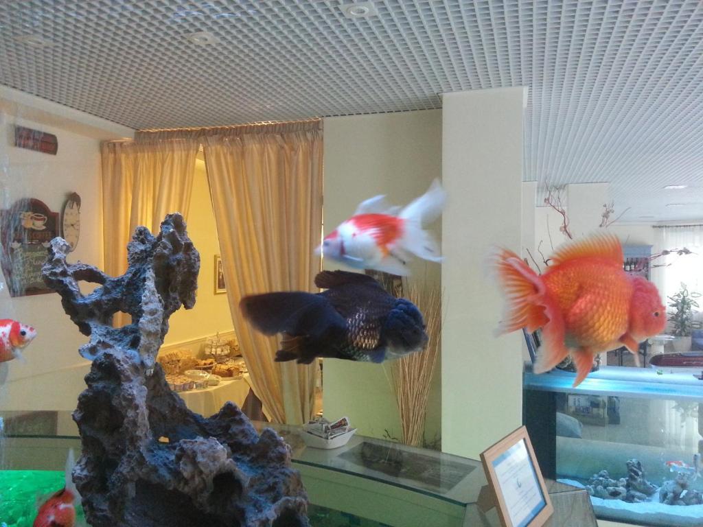 Hotel Il Gatto Rapallo Ngoại thất bức ảnh